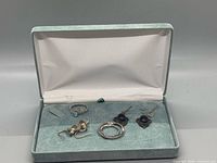 Full view of jewelry pieces in case: ring, bee earrings, cabochon earrings, hoop pendant