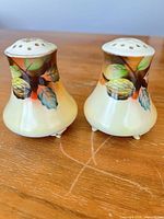 Front view of both shakers showing hand-painted motif and cream glaze