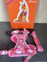 front view of Haixpet box and harness with rolled leash