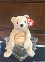 Front view of Chili bear with ear tag visible