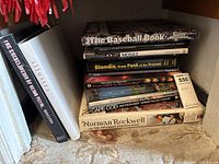 Overall view of stack and leaning books showing quantity and variety