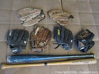 Six gloves and two bats laid out