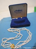 Set displayed: necklace laid out, earrings in box