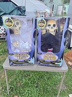 Front view of both boxed figures: Skeleton Bride and Talking Skeleton