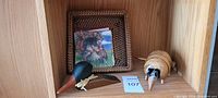overall shelf view with all items visible