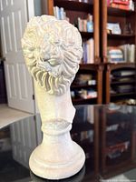Rear view showing hair detail and mark area