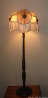 Floor lamp illuminated showing shade and full height
