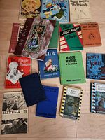 Group of 15 out of 17 vintage children’s books displayed on floor