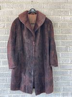 Full view of dark brown fur coat front