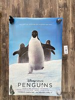 Full poster displayed hanging; shows imagery and dimensions context