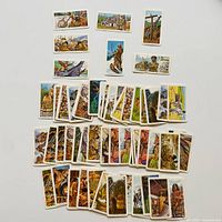 All 60 Indians of Canada trading cards spread out