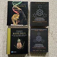 All four textbooks laid out