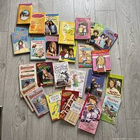 Entire group of 27 soft-cover children’s books displayed on floor