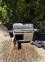 Front view of Grand Cafe propane grill, doors open