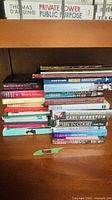 Overall view of approximately 18 books on shelf