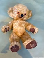 Full view of teddy bear lying flat showing overall appearance