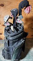Golf bag top view showing clubs and headcovers