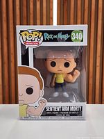 Front view of boxed Funko Pop #340 Sentient Arm Morty