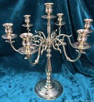 Full view of seven-arm candelabra showing overall form and finish