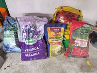 All five bags grouped together