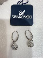Full view of both earrings with Swarovski case insert