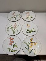 Six Hermès Jardin des Orchidees plates laid out showing orchid designs