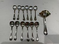 Complete set of 12 spoons and gravy ladle laid out
