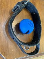 Black leather wide dog collar and blue Nerf ball