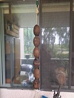 Full view of six cedar floats hanging from rope