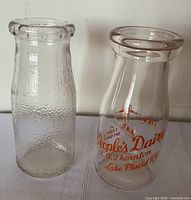 Both milk bottles standing side by side front view