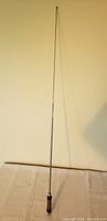 Full view of fully extended telescopic whip antenna standing upright