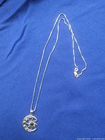 Necklace laid out showing pendant and full chain with clasp