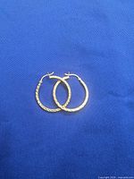 Hoop earrings laid flat closed forming overlapping circles