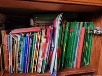 Bookshelf section filled with assorted travel guide books, green Michelin spines and multicolour DK titles clearly visible