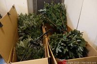 Unassembled tree foliage sections and metal stand in original box