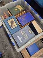 Plastic bin filled with vintage cloth-bound hardcovers, visible titles The Pioneer Boy, Lizzie Horst, portrait cover, Coleridge, others