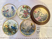 Front view of all five plates including the framed example, ruler for scale