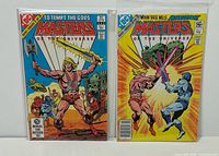 Front view of both bagged comics showing cover art and issue numbers
