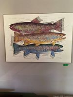 Full view of laminated trout print showing three fish and surrounding notations
