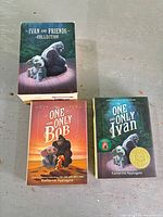 Front view of slipcase and both books