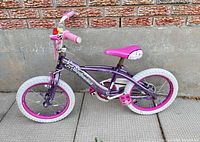 Side view showing full bicycle