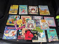 All 14 books laid out for overview