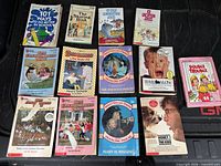 Overhead of all twelve paperbacks laid out