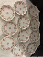 All 12 matching plates displayed