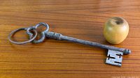 Full view of key beside apple for scale