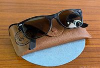 Sunglasses resting on Ray-Ban case, front view