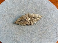 Front view of rhinestone brooch on felt background