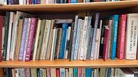 Full shelf showing assortment of doll and sewing books