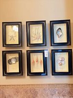 All six framed prints on wall showing size uniformity and frame style