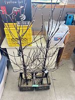 Front view of both lighted branch arrangements in metal planters